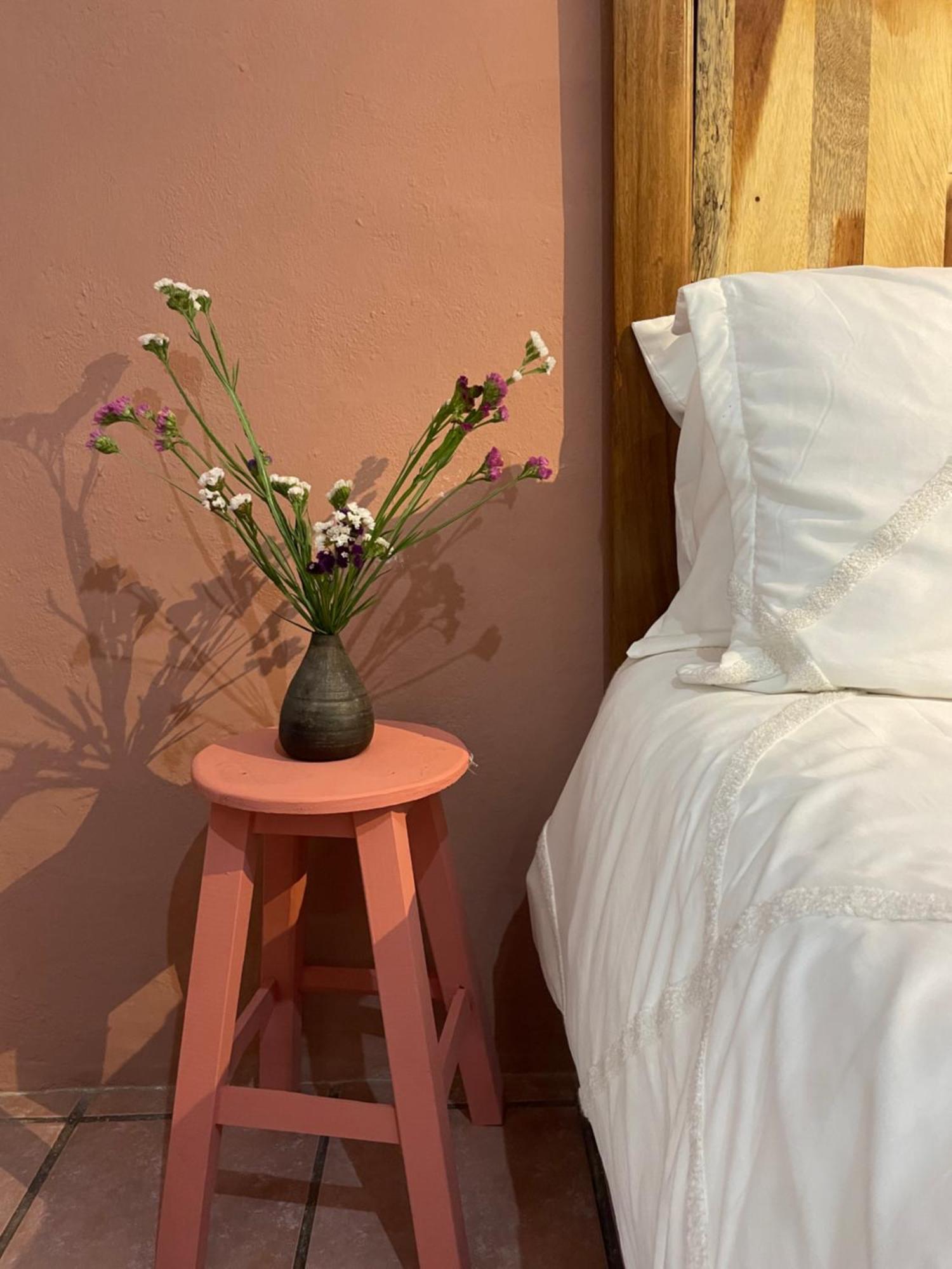 Cute Apart Excellently Located Appartement Oaxaca Buitenkant foto